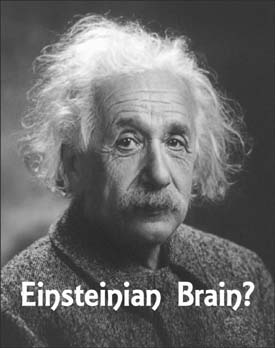 Trivia tests: Portrait of Albert Einstein.