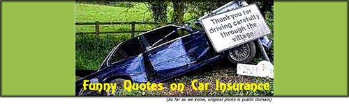 Funny quotes on car insurance: funny car accident, car in ditch behind thank you for driving carefully sign.