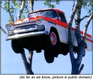 Quotes on car insurance: Funny picture of car high up in a tree.