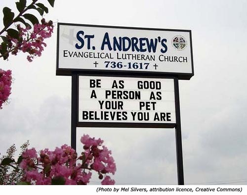 Silly signs. Funny church signs: St. Andrew's Evangelical Lutheran Church: Be as good a person as your pet believes you are!