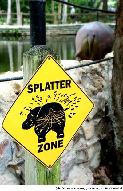 Funny zoo signs. Sign with hippo: Splatter Zone!