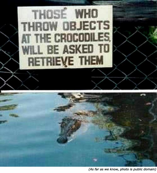 Silly signs: Funny warning sign and funny zoo signs: Those who throw objects at the crocodiles will be asked to retrieve them. 