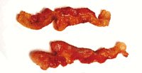 Funny unusual gifts: picture of two slices of bacon.