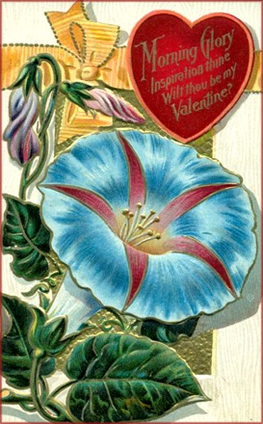 Beautiful Valentine greeting cards: Vintage picture of blue trumpet flower and red heart.