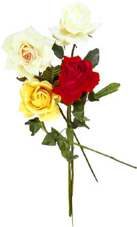Rose bouquet with white, yellow and red roses.