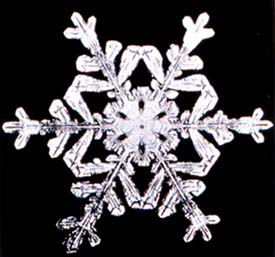 Weird but true facts about eskimos and snow: Old photo of snow flake.